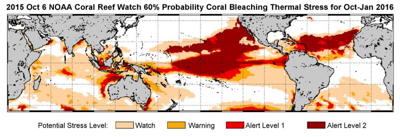 NOAA's standard 4-month bleaching outlook shows a threat of bleaching continuing in the Caribbean, Hawaii and Kiribati, and potentially expanding into the Republic of the Marshall Islands. 