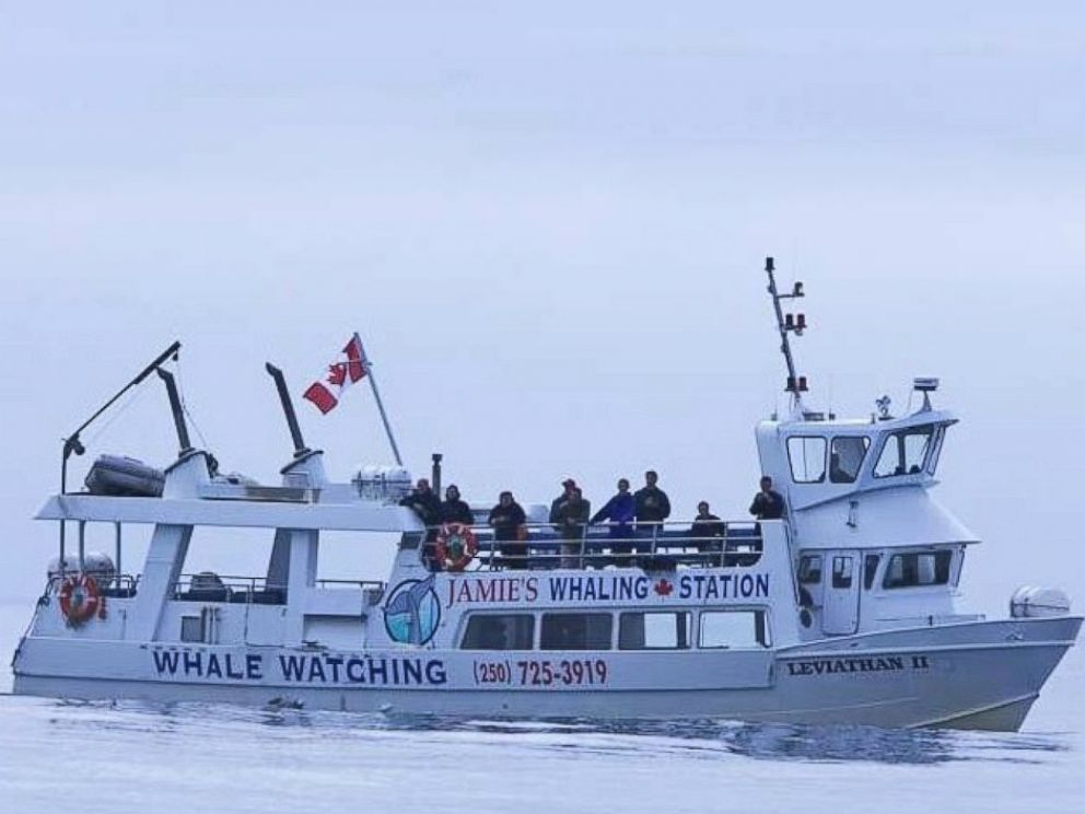 PHOTO: An undated image from the Jamie’s Whaling Station website shows the Leviathan II ship which sank off Vancouver Island during a whale-watching expedition on Oct. 25, 2015.