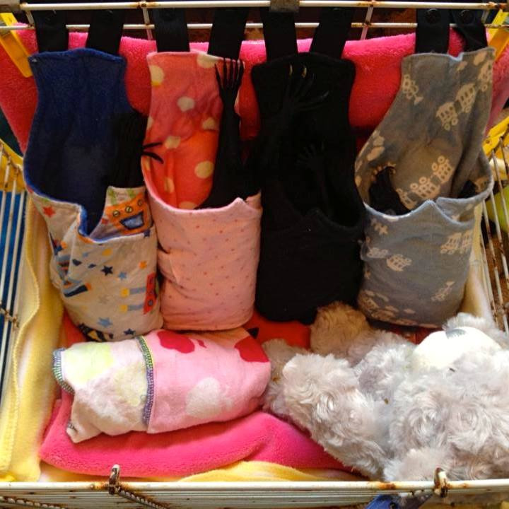 cuddlebatz-group Cuddlebatz