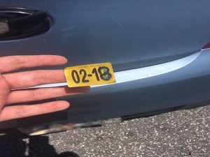 Florida-License-Plate-Mishap2